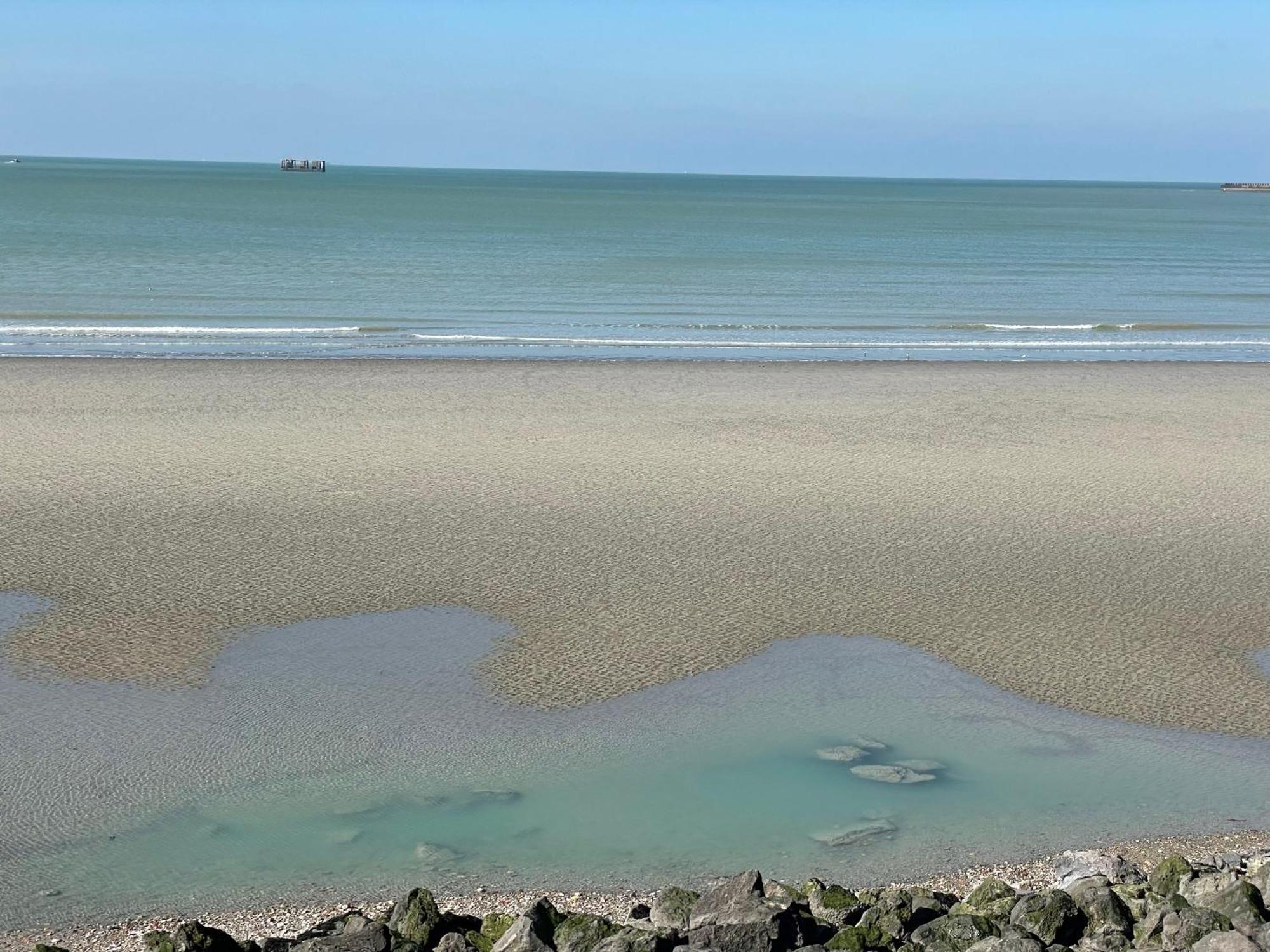 Villa Face Mer Aux Magnifiques Couchers De Soleil 5 Mn De Nausicaa Boulogne-sur-Mer Exteriér fotografie
